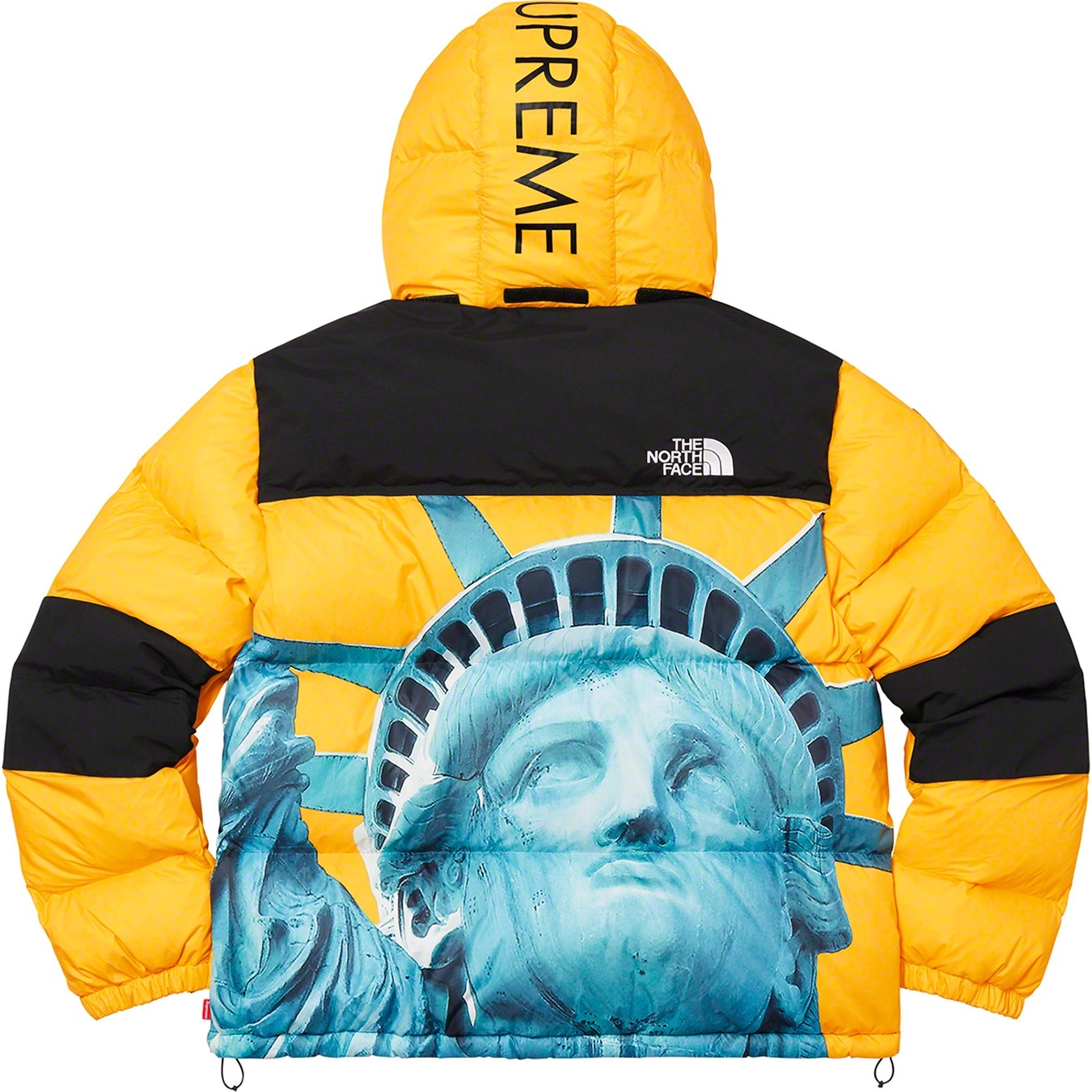 Supreme®/The North Face® Statue of Liberty Baltoro Jacket view 3